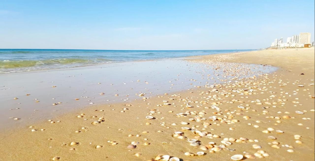 7 Hotel Apartment Short Time Tlv Bat Yam Ngoại thất bức ảnh